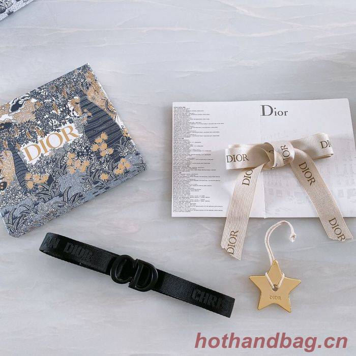 Dior Belt CDB00047 Dior Belt CDB00047