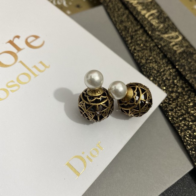 Dior Earring CE16310