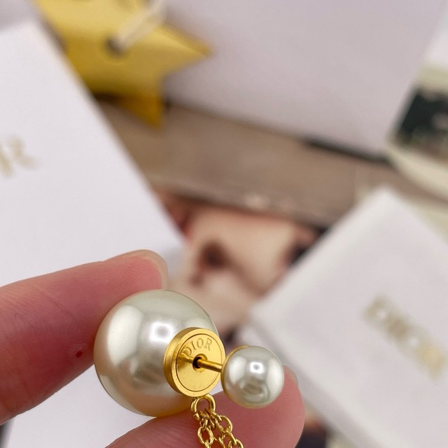 Dior Earring CE16364