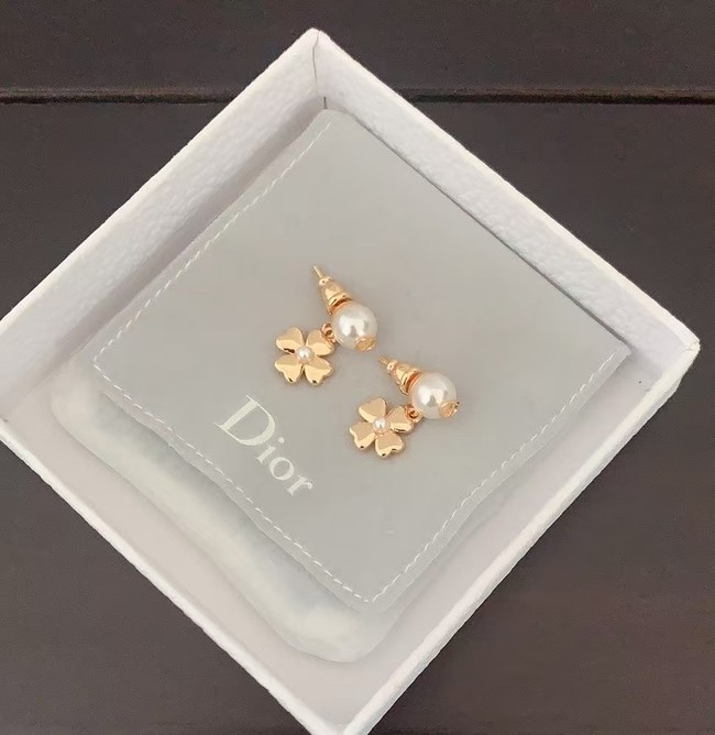 Dior Earring CE16527