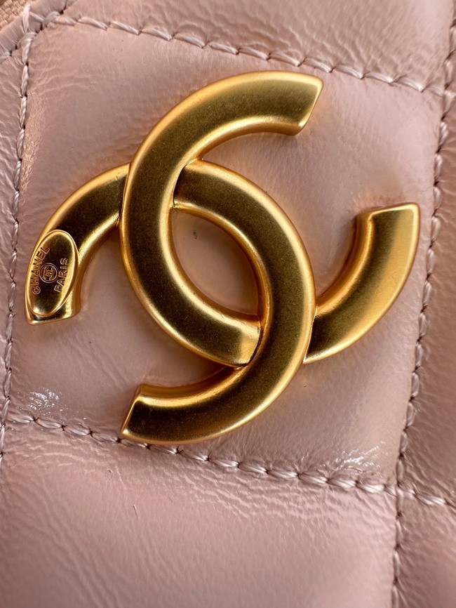Chanel Medium HOBO BAG AS5498 pink