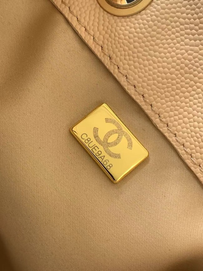 CHANEL 25 SMALL HANDBAG AS5293 Beige