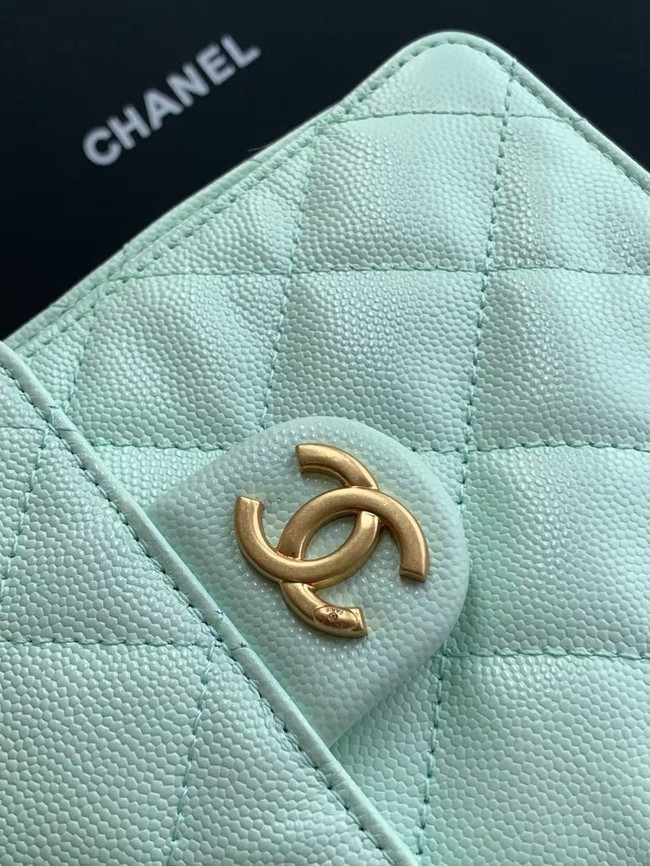 CHANEL 25 SMALL HANDBAG AS5293 Light Green