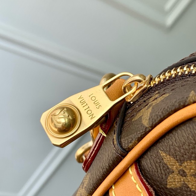 Louis Vuitton Danube M14013