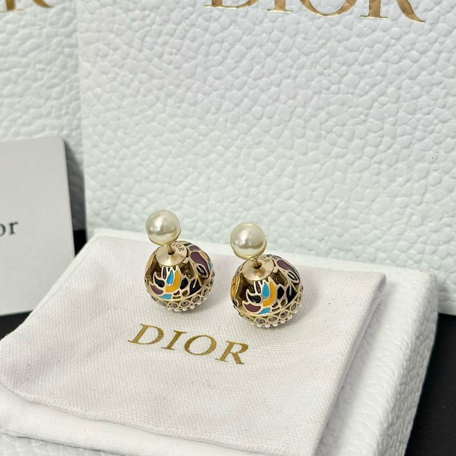 Dior Earring CE16558