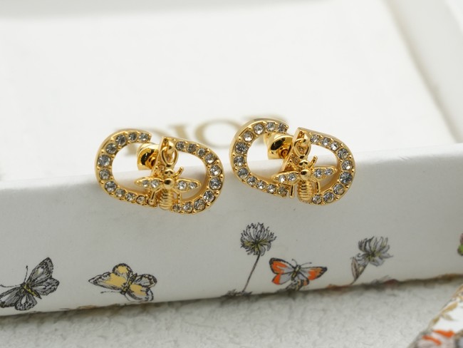 Dior Earring CE16634