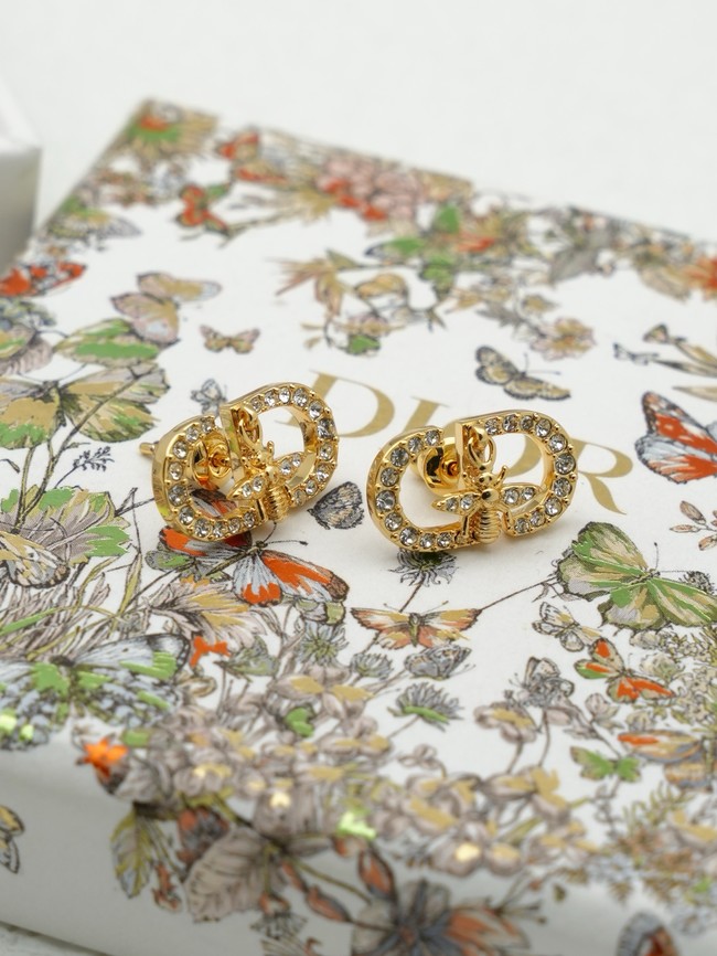 Dior Earring CE16634