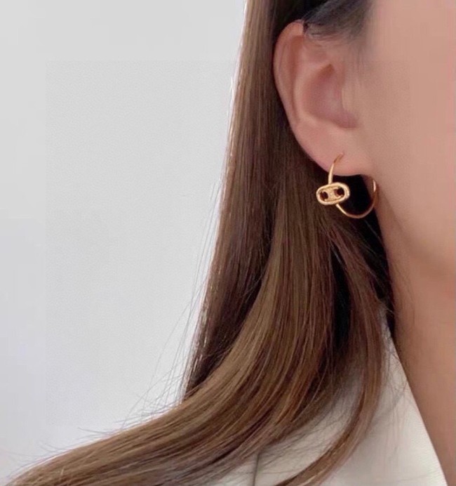Dior Earring CE16723