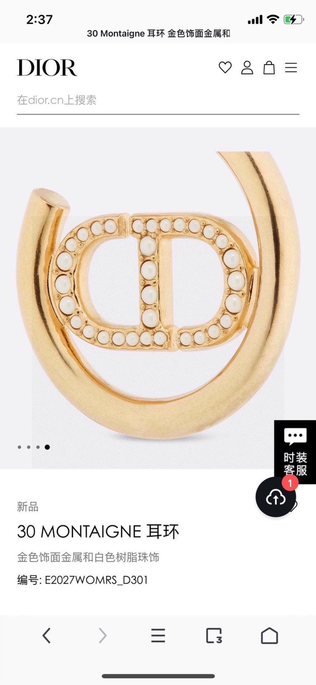 Dior Earring CE16724