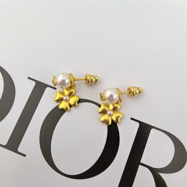 Dior Earring CE16728