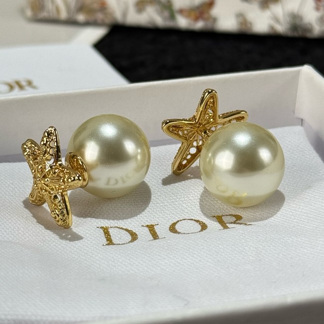 Dior Earring CE16731