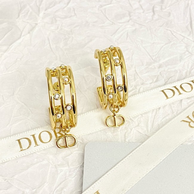 Dior Earring CE16833