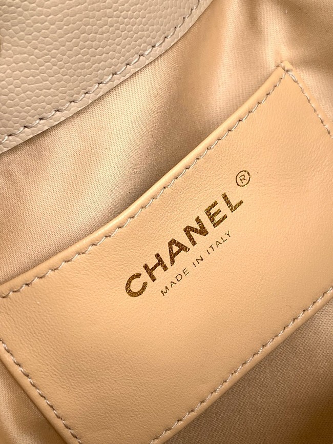 CHANEL 25 MINI HANDBAG AS5631 Apricot