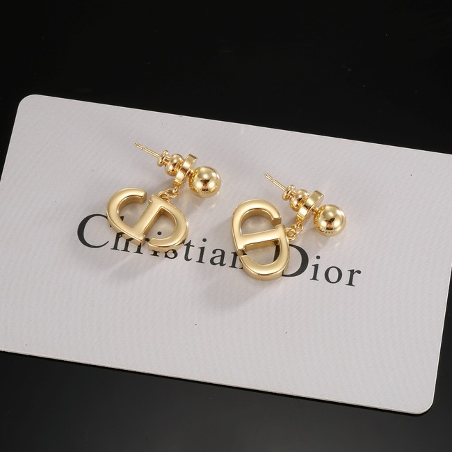 Dior Earring CE16970