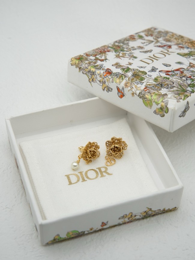 Dior Earring CE16989