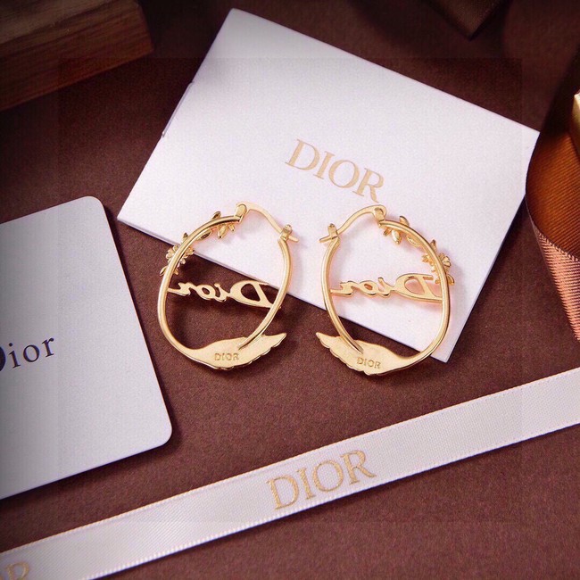 Dior Earring CE17014