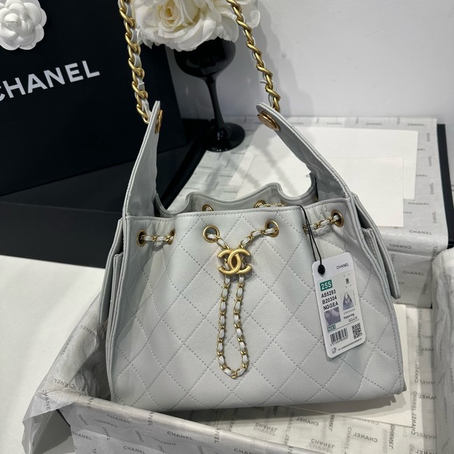 CHANEL 25 SMALL HANDBAG AS5293 light gray