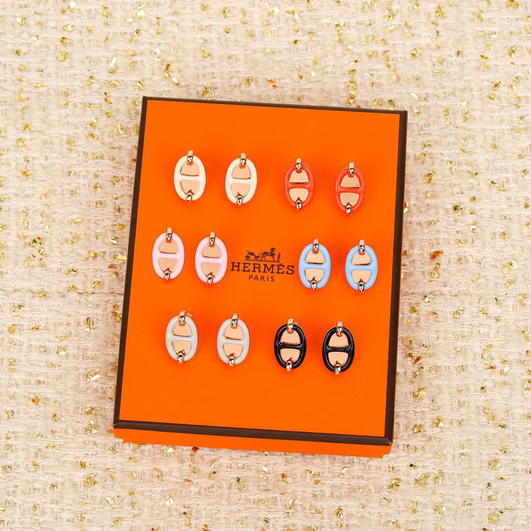 Hermes Earrings HE90101 Hermes Earrings HE90101
