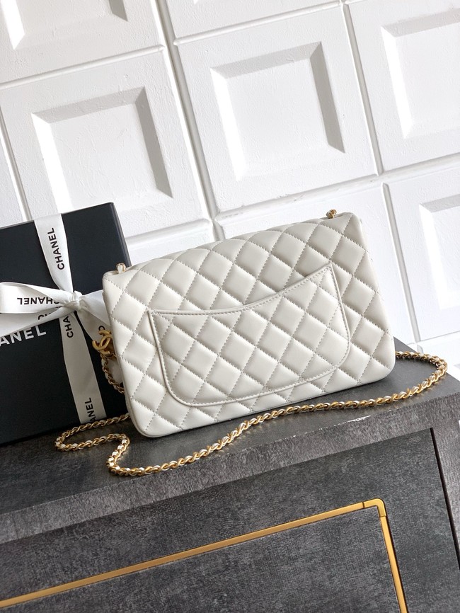 Chanel Flap Bag AS5756  Light Grey