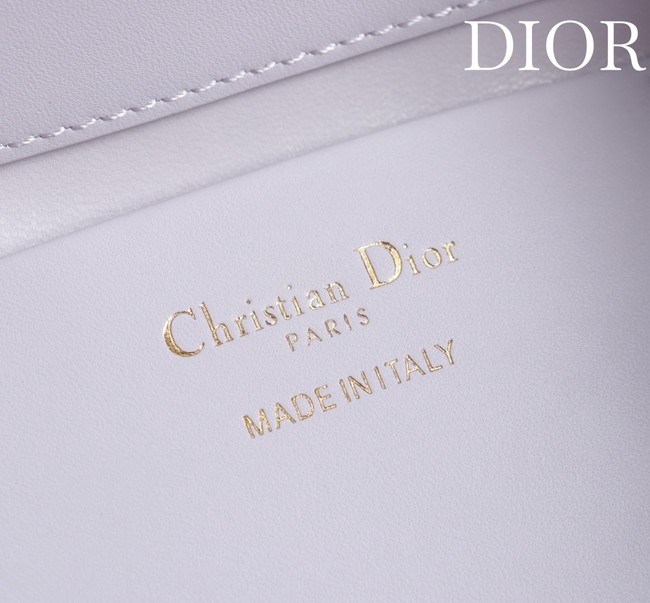 Small Dior Toujours Vertical Tote Bag M2835OSNW white