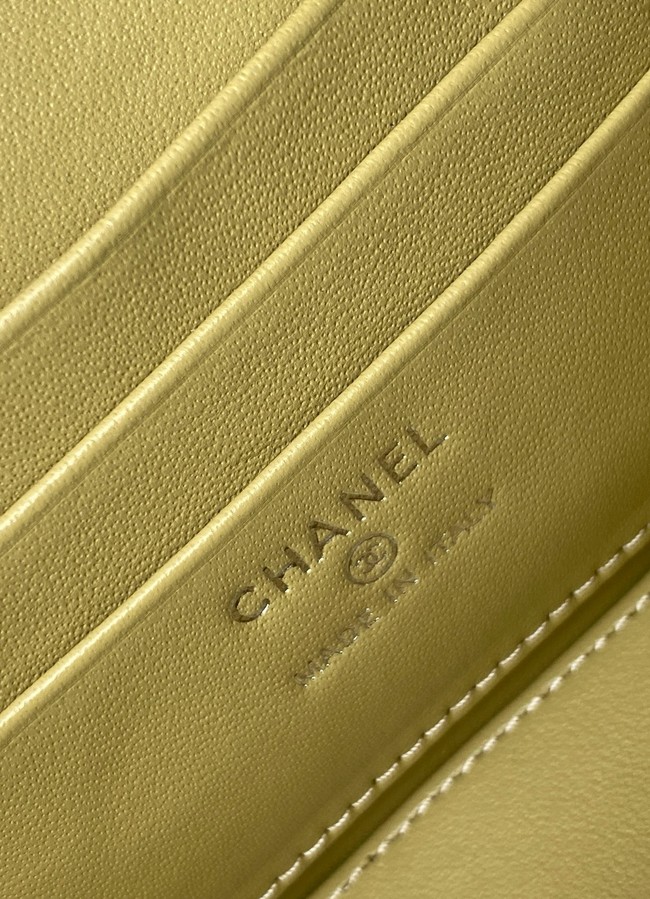 Chanel Long Vanity with chain AP4933 green