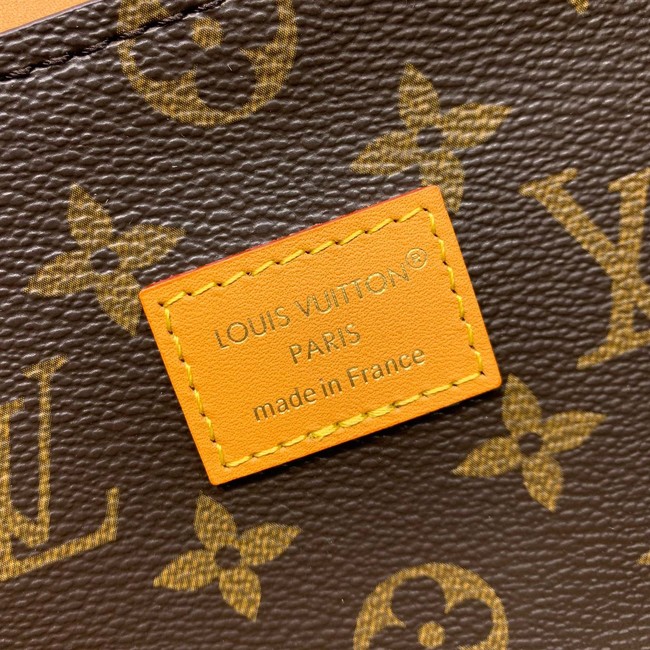 Louis Vuitton Backpack M25989 brown