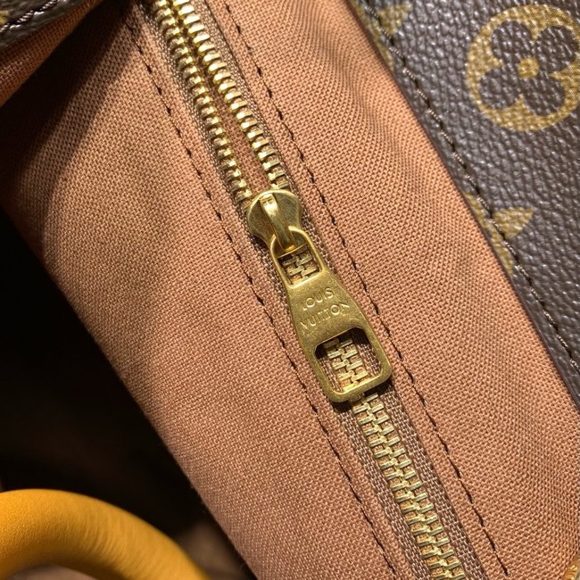 Louis Vuitton Backpack M25989 brown