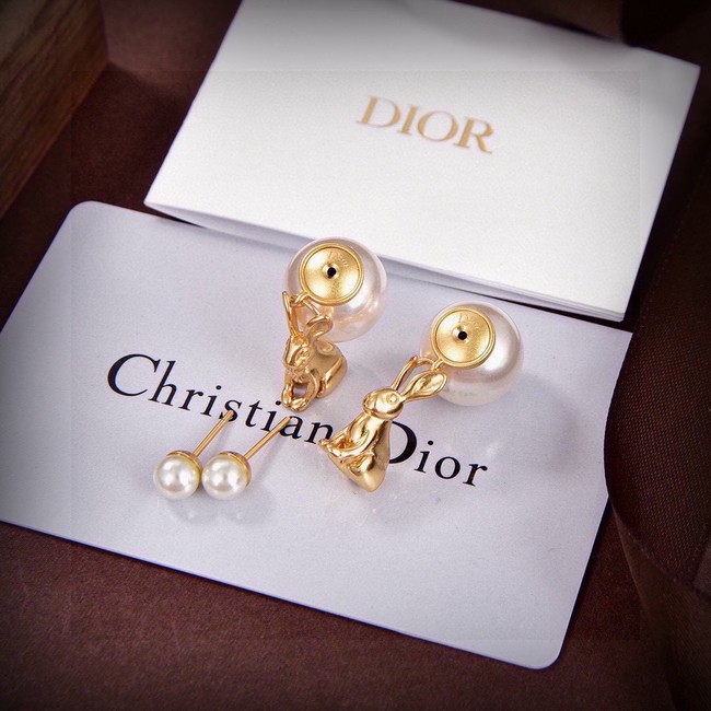Dior Earring CE81677