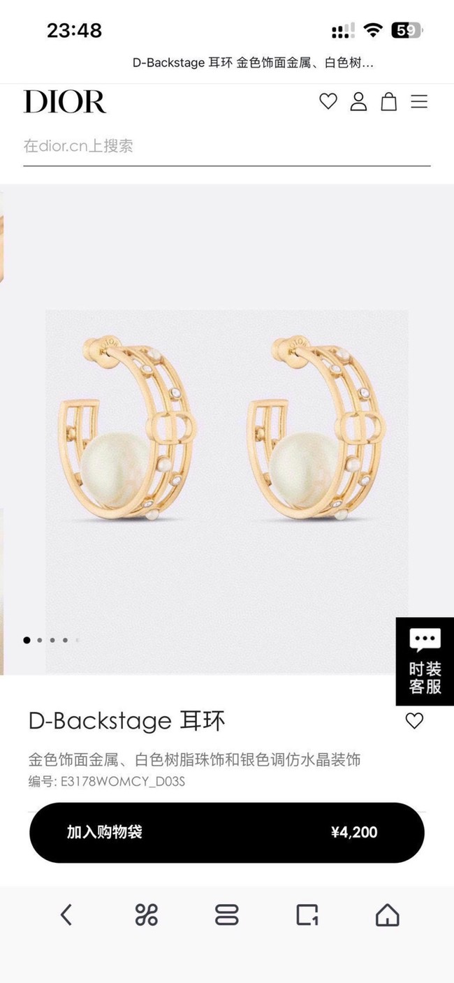 Dior Earring CE81697