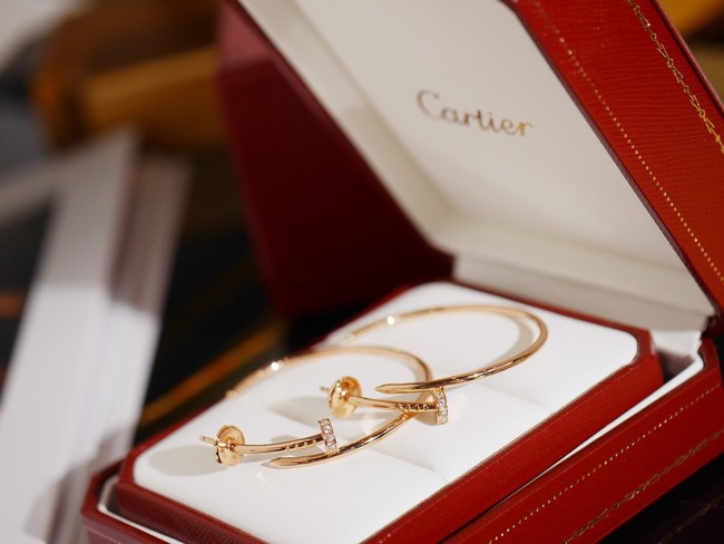 Cartier Earring CE81784