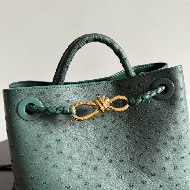 Bottega Veneta Small Andiamo 805231 Jungle