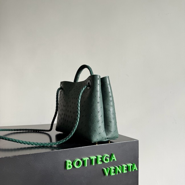 Bottega Veneta Small Andiamo 805231 Jungle