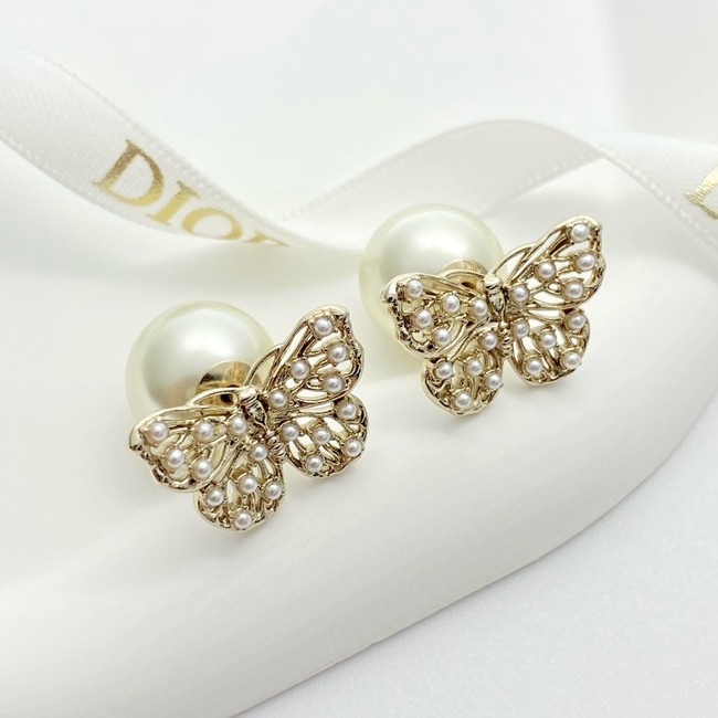 Dior Earring CE81810