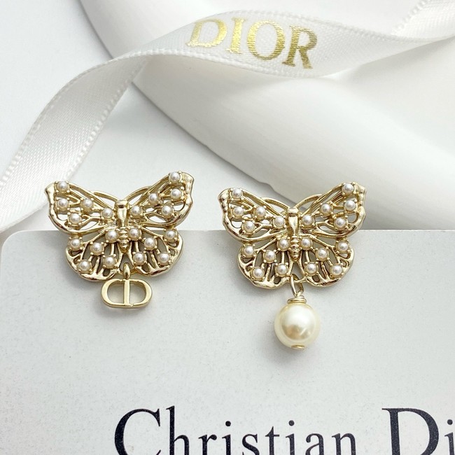 Dior Earring CE81811