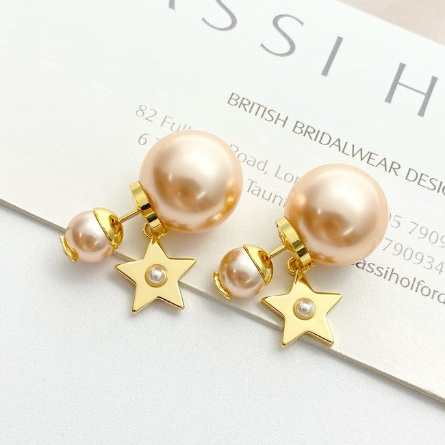 Dior Earring CE81813