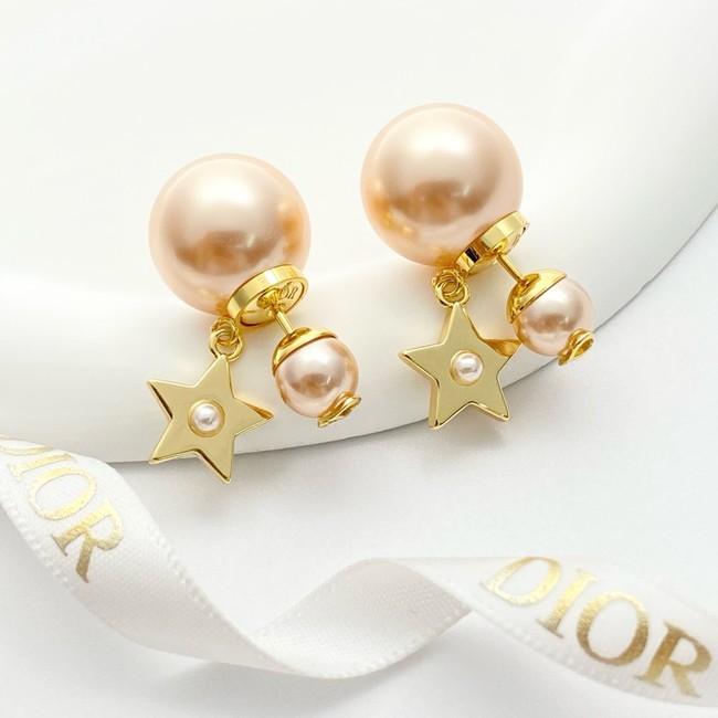 Dior Earring CE81813
